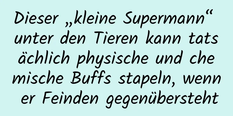 Dieser „kleine Supermann“ unter den Tieren kann tatsächlich physische und chemische Buffs stapeln, wenn er Feinden gegenübersteht