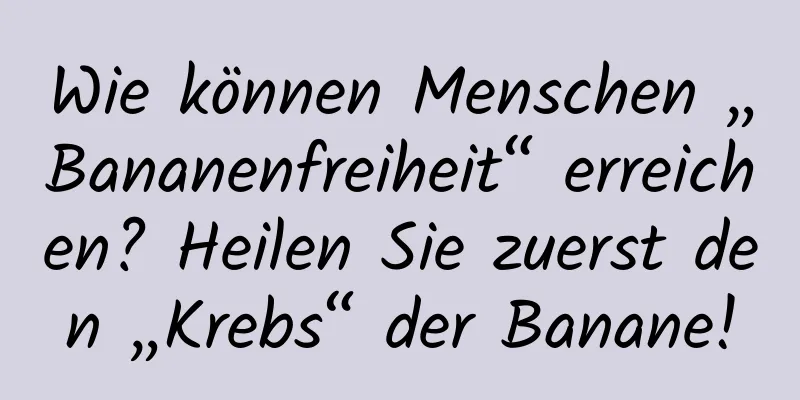 Wie können Menschen „Bananenfreiheit“ erreichen? Heilen Sie zuerst den „Krebs“ der Banane!
