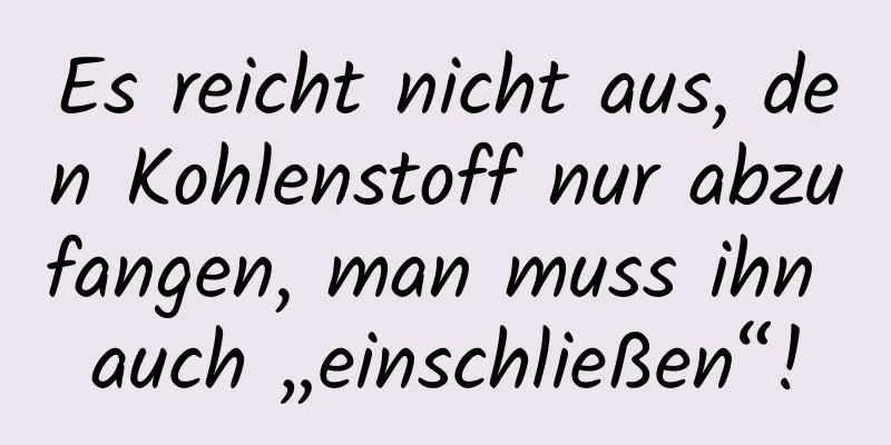 Es reicht nicht aus, den Kohlenstoff nur abzufangen, man muss ihn auch „einschließen“!