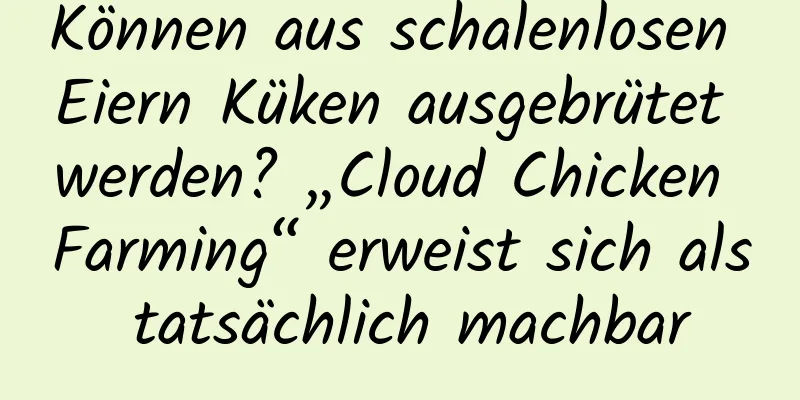 Können aus schalenlosen Eiern Küken ausgebrütet werden? „Cloud Chicken Farming“ erweist sich als tatsächlich machbar