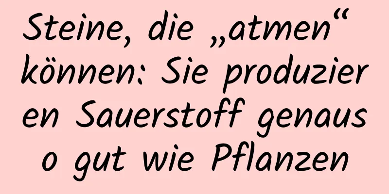 Steine, die „atmen“ können: Sie produzieren Sauerstoff genauso gut wie Pflanzen