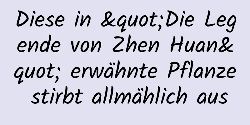 Diese in "Die Legende von Zhen Huan" erwähnte Pflanze stirbt allmählich aus
