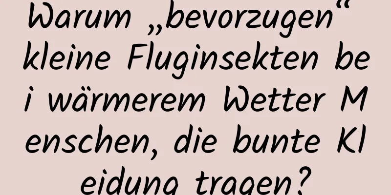 Warum „bevorzugen“ kleine Fluginsekten bei wärmerem Wetter Menschen, die bunte Kleidung tragen?