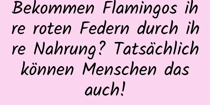 Bekommen Flamingos ihre roten Federn durch ihre Nahrung? Tatsächlich können Menschen das auch!