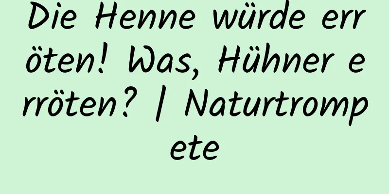 Die Henne würde erröten! Was, Hühner erröten? | Naturtrompete