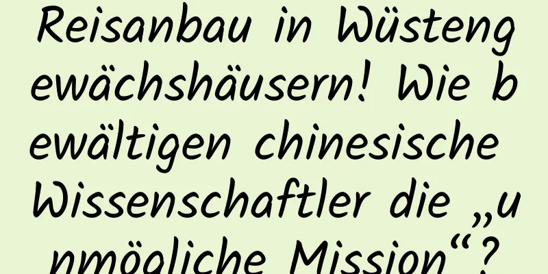Reisanbau in Wüstengewächshäusern! Wie bewältigen chinesische Wissenschaftler die „unmögliche Mission“?