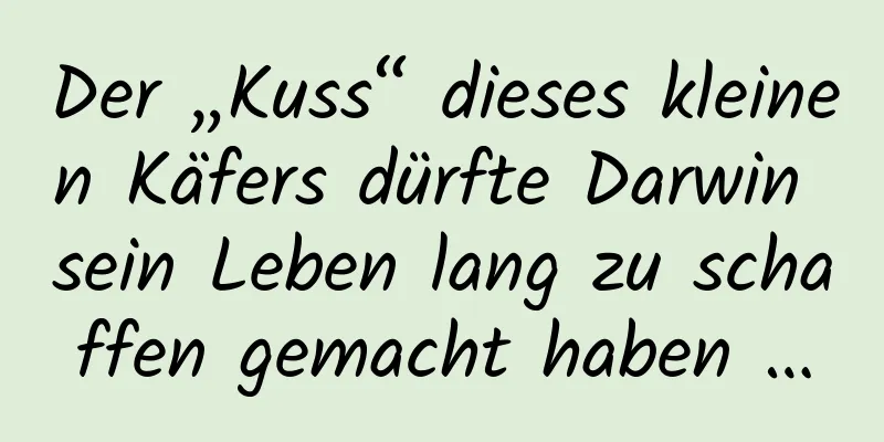Der „Kuss“ dieses kleinen Käfers dürfte Darwin sein Leben lang zu schaffen gemacht haben …