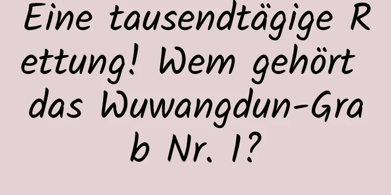 Eine tausendtägige Rettung! Wem gehört das Wuwangdun-Grab Nr. 1?