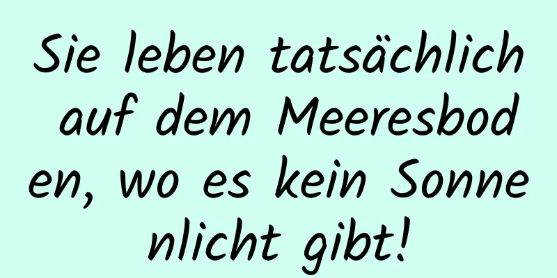 Sie leben tatsächlich auf dem Meeresboden, wo es kein Sonnenlicht gibt!