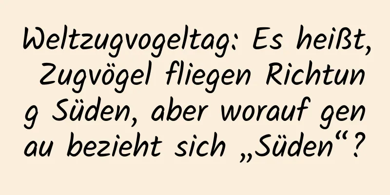 Weltzugvogeltag: Es heißt, Zugvögel fliegen Richtung Süden, aber worauf genau bezieht sich „Süden“?
