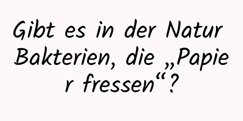 Gibt es in der Natur Bakterien, die „Papier fressen“?