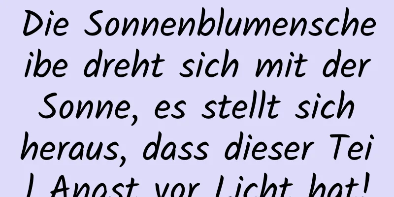 Die Sonnenblumenscheibe dreht sich mit der Sonne, es stellt sich heraus, dass dieser Teil Angst vor Licht hat!