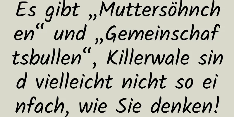 Es gibt „Muttersöhnchen“ und „Gemeinschaftsbullen“, Killerwale sind vielleicht nicht so einfach, wie Sie denken!