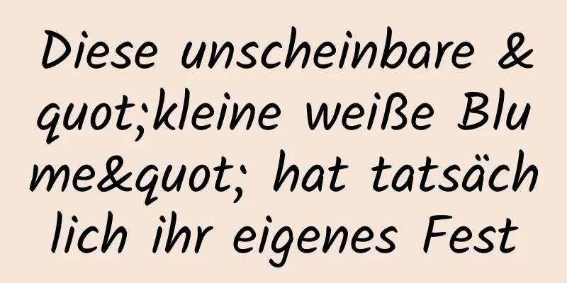 Diese unscheinbare "kleine weiße Blume" hat tatsächlich ihr eigenes Fest