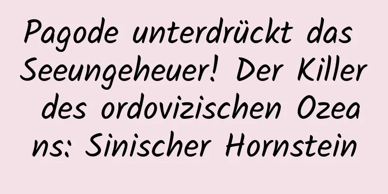 Pagode unterdrückt das Seeungeheuer! Der Killer des ordovizischen Ozeans: Sinischer Hornstein
