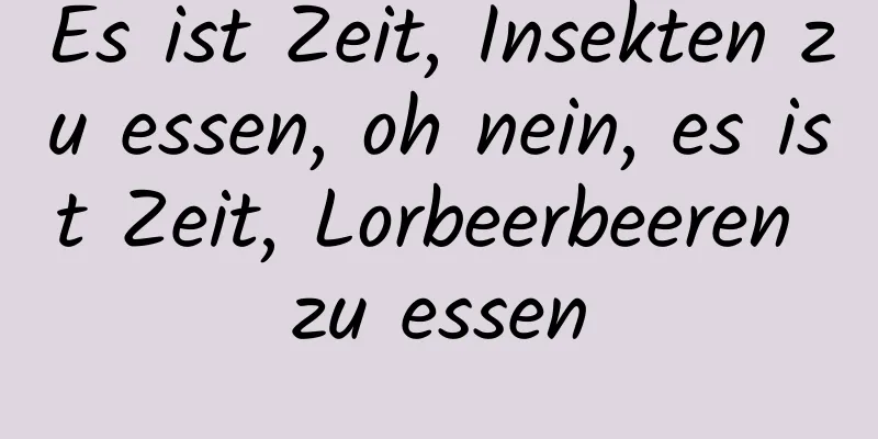 Es ist Zeit, Insekten zu essen, oh nein, es ist Zeit, Lorbeerbeeren zu essen