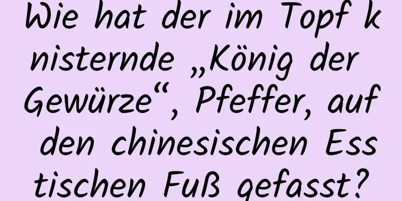 Wie hat der im Topf knisternde „König der Gewürze“, Pfeffer, auf den chinesischen Esstischen Fuß gefasst?