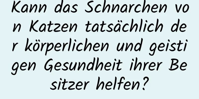 Kann das Schnarchen von Katzen tatsächlich der körperlichen und geistigen Gesundheit ihrer Besitzer helfen?