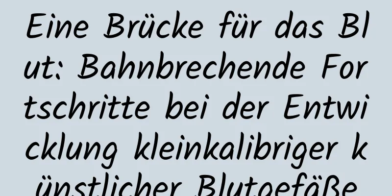 Eine Brücke für das Blut: Bahnbrechende Fortschritte bei der Entwicklung kleinkalibriger künstlicher Blutgefäße