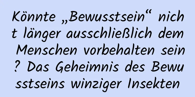 Könnte „Bewusstsein“ nicht länger ausschließlich dem Menschen vorbehalten sein? Das Geheimnis des Bewusstseins winziger Insekten