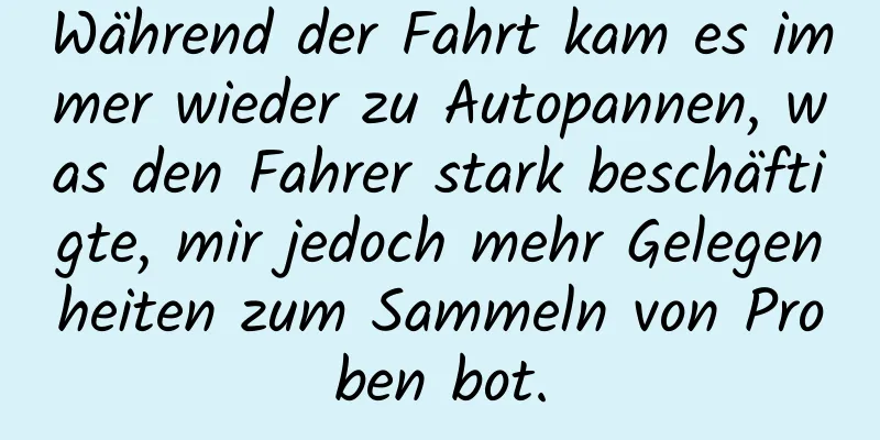 Während der Fahrt kam es immer wieder zu Autopannen, was den Fahrer stark beschäftigte, mir jedoch mehr Gelegenheiten zum Sammeln von Proben bot.