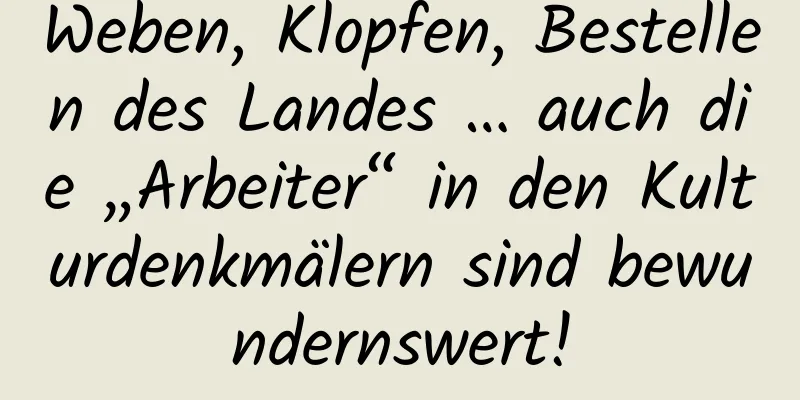 Weben, Klopfen, Bestellen des Landes … auch die „Arbeiter“ in den Kulturdenkmälern sind bewundernswert!