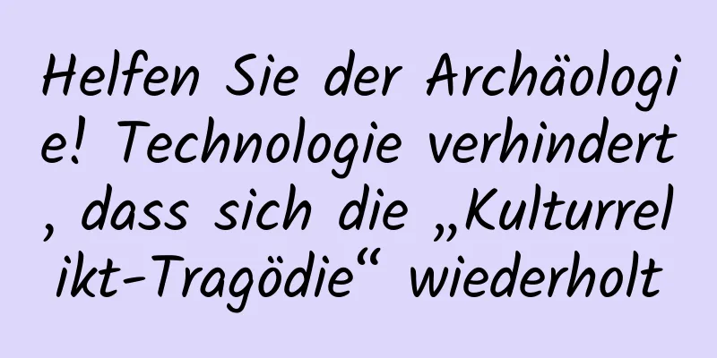 Helfen Sie der Archäologie! Technologie verhindert, dass sich die „Kulturrelikt-Tragödie“ wiederholt