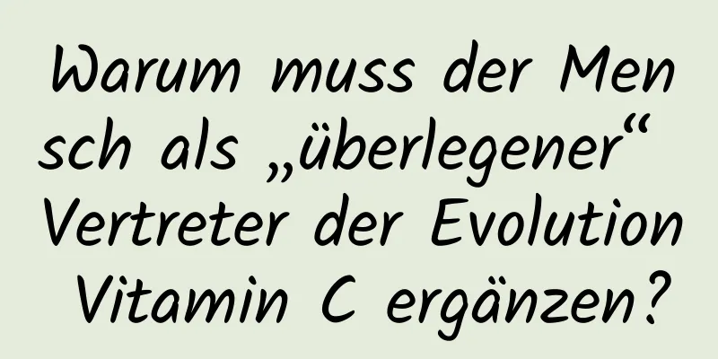 Warum muss der Mensch als „überlegener“ Vertreter der Evolution Vitamin C ergänzen?