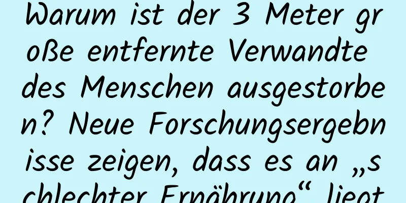 Warum ist der 3 Meter große entfernte Verwandte des Menschen ausgestorben? Neue Forschungsergebnisse zeigen, dass es an „schlechter Ernährung“ liegt