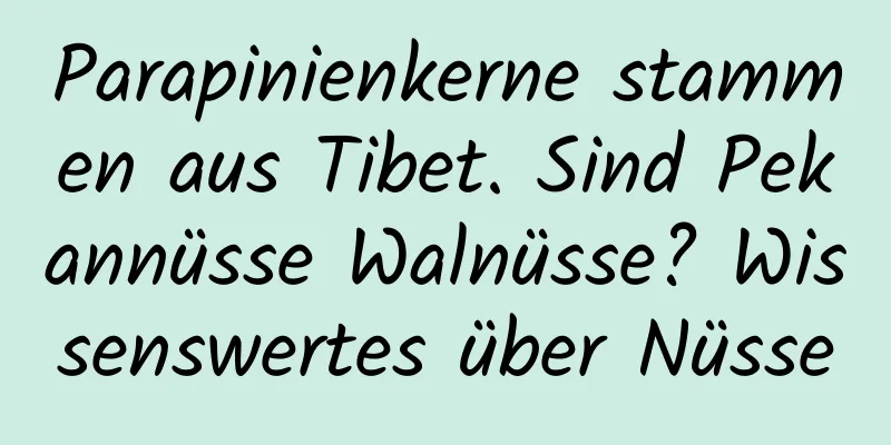 Parapinienkerne stammen aus Tibet. Sind Pekannüsse Walnüsse? Wissenswertes über Nüsse