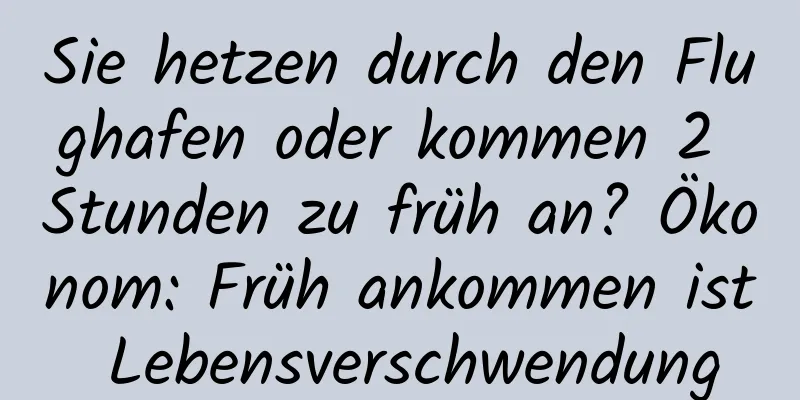 Sie hetzen durch den Flughafen oder kommen 2 Stunden zu früh an? Ökonom: Früh ankommen ist Lebensverschwendung