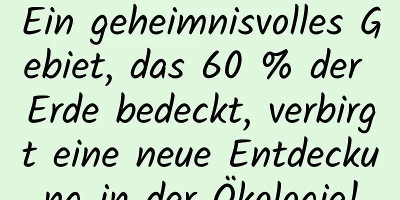 Ein geheimnisvolles Gebiet, das 60 % der Erde bedeckt, verbirgt eine neue Entdeckung in der Ökologie!