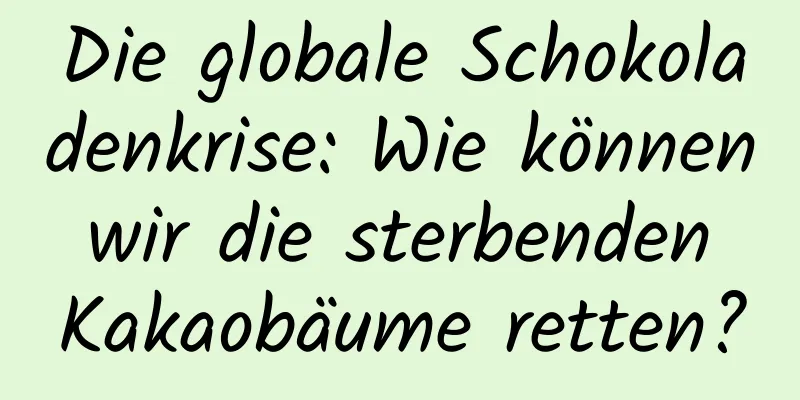 Die globale Schokoladenkrise: Wie können wir die sterbenden Kakaobäume retten?