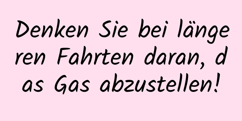 Denken Sie bei längeren Fahrten daran, das Gas abzustellen!