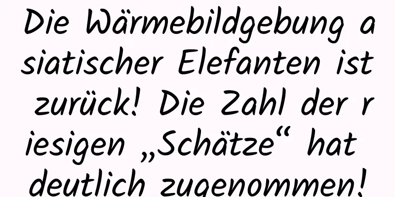 Die Wärmebildgebung asiatischer Elefanten ist zurück! Die Zahl der riesigen „Schätze“ hat deutlich zugenommen!