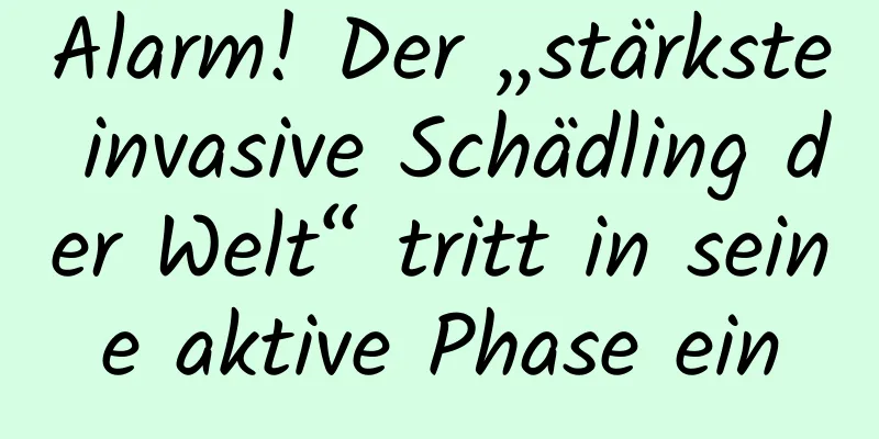 Alarm! Der „stärkste invasive Schädling der Welt“ tritt in seine aktive Phase ein