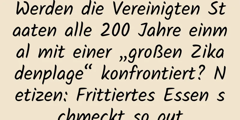 Werden die Vereinigten Staaten alle 200 Jahre einmal mit einer „großen Zikadenplage“ konfrontiert? Netizen: Frittiertes Essen schmeckt so gut