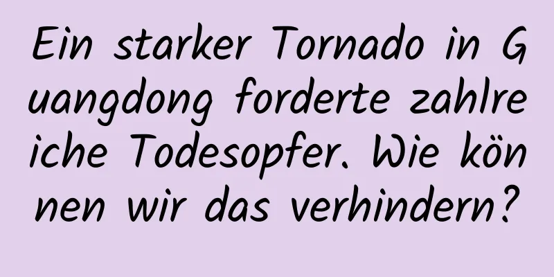 Ein starker Tornado in Guangdong forderte zahlreiche Todesopfer. Wie können wir das verhindern?