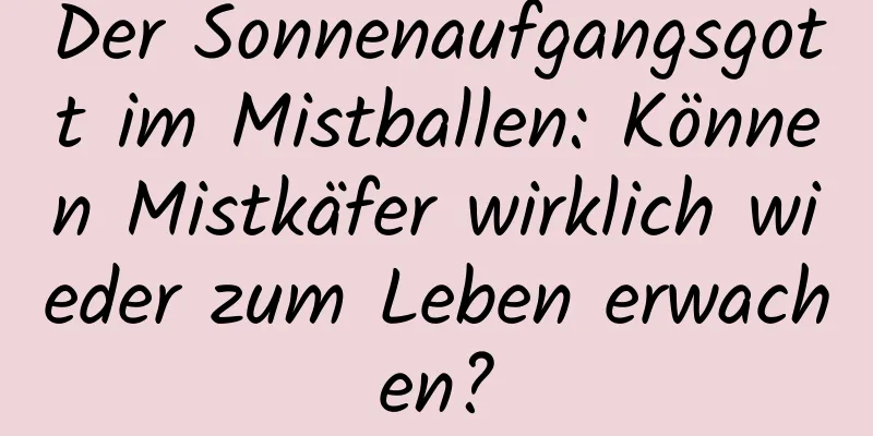 Der Sonnenaufgangsgott im Mistballen: Können Mistkäfer wirklich wieder zum Leben erwachen?