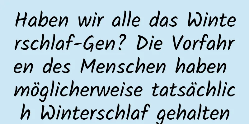 Haben wir alle das Winterschlaf-Gen? Die Vorfahren des Menschen haben möglicherweise tatsächlich Winterschlaf gehalten