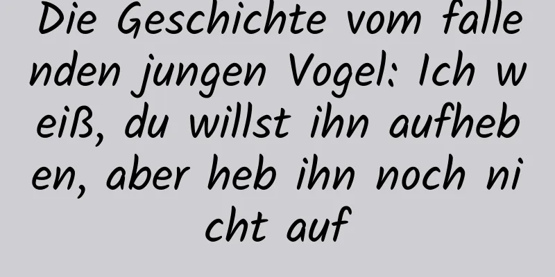 Die Geschichte vom fallenden jungen Vogel: Ich weiß, du willst ihn aufheben, aber heb ihn noch nicht auf
