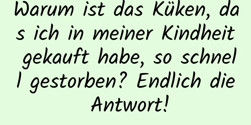 Warum ist das Küken, das ich in meiner Kindheit gekauft habe, so schnell gestorben? Endlich die Antwort!