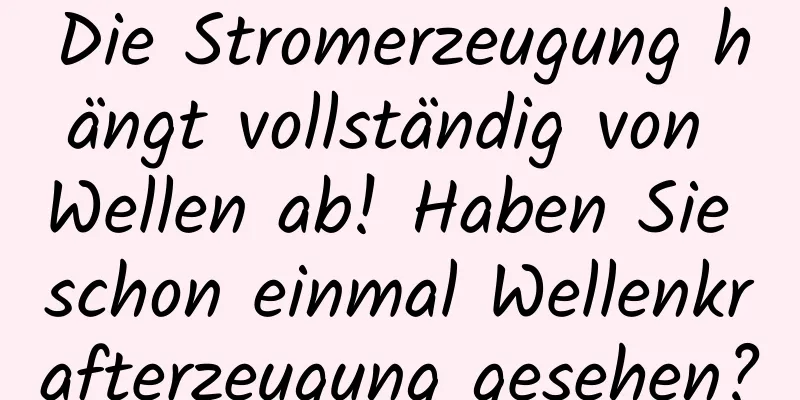 Die Stromerzeugung hängt vollständig von Wellen ab! Haben Sie schon einmal Wellenkrafterzeugung gesehen?