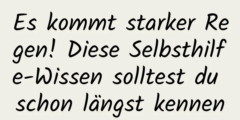 Es kommt starker Regen! Diese Selbsthilfe-Wissen solltest du schon längst kennen