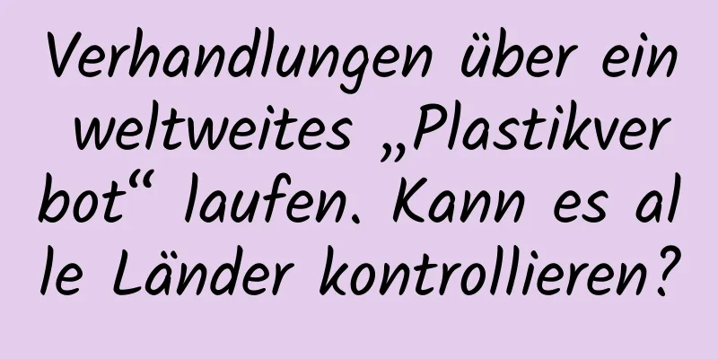 Verhandlungen über ein weltweites „Plastikverbot“ laufen. Kann es alle Länder kontrollieren?