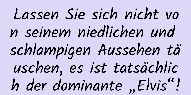 Lassen Sie sich nicht von seinem niedlichen und schlampigen Aussehen täuschen, es ist tatsächlich der dominante „Elvis“!