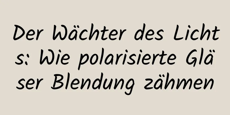 Der Wächter des Lichts: Wie polarisierte Gläser Blendung zähmen