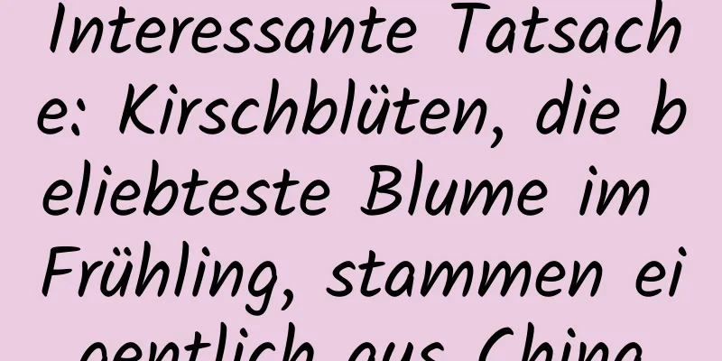 Interessante Tatsache: Kirschblüten, die beliebteste Blume im Frühling, stammen eigentlich aus China