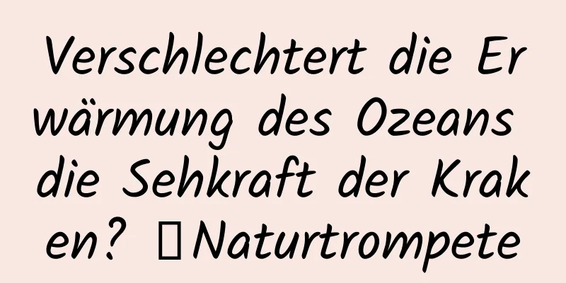 Verschlechtert die Erwärmung des Ozeans die Sehkraft der Kraken? ｜Naturtrompete