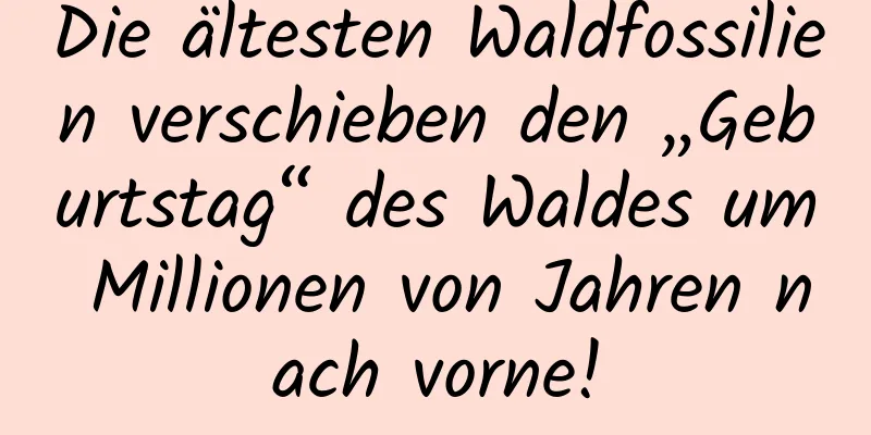 Die ältesten Waldfossilien verschieben den „Geburtstag“ des Waldes um Millionen von Jahren nach vorne!
